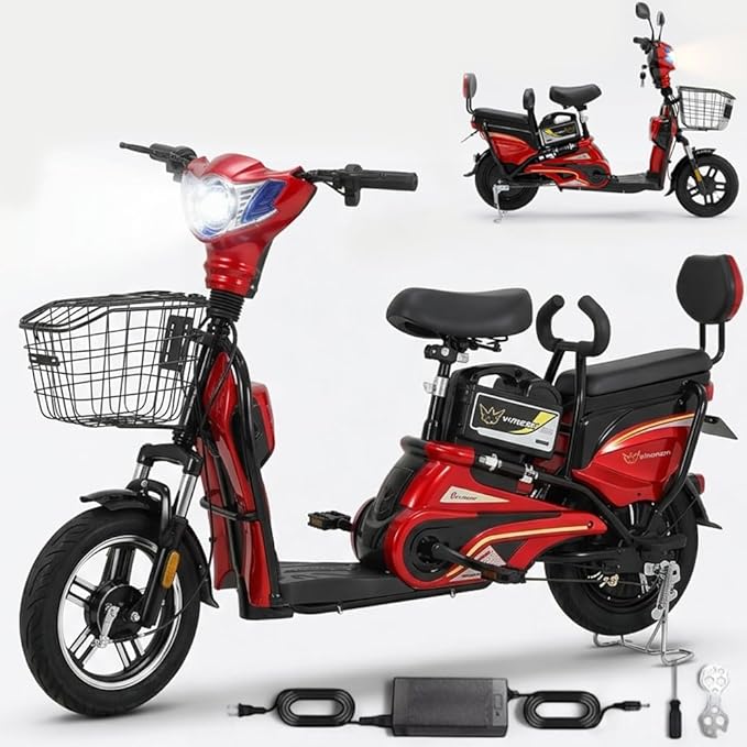 Wind Horse M1 Delivery Bike